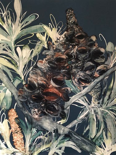 Banksia Pods