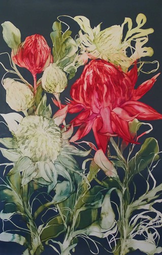 Red and White Waratahs on Blue