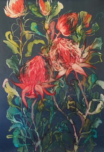 Red Waratahs on Blue