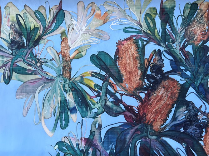Morning Banksias