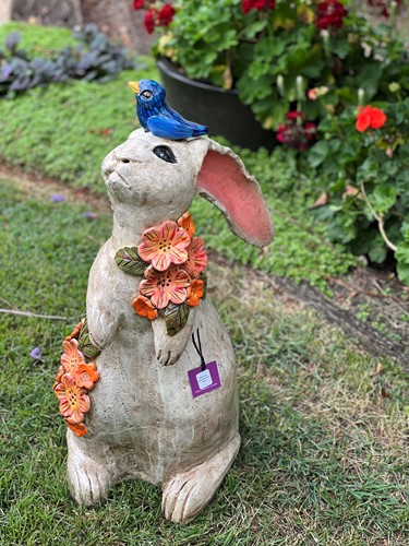 Thumper and Blue Bird