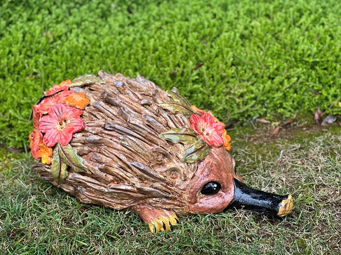 Edna the Echidna