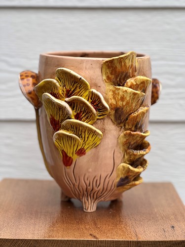 Fungai Pot Number 2