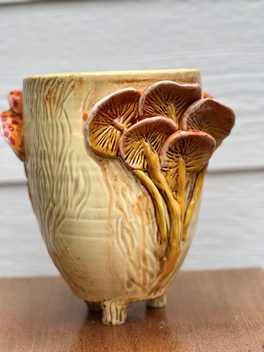 Fungai Pot 3