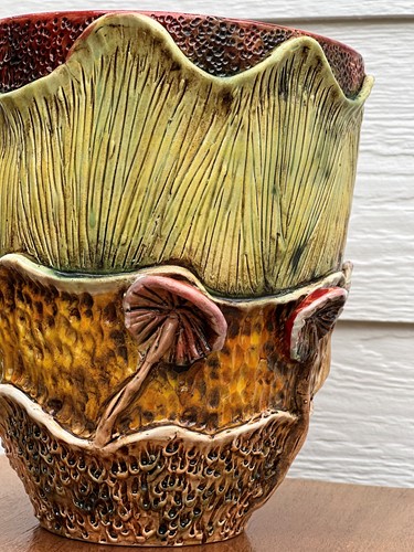 Fungai Pot 5
