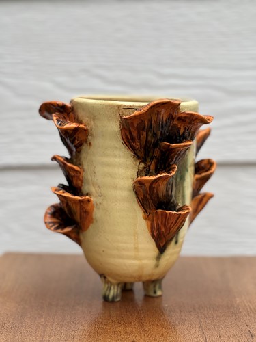 Fungai Pot 7