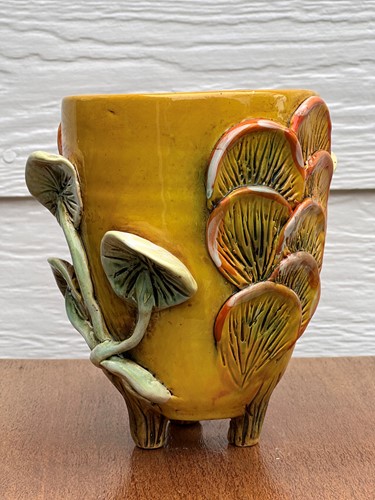 Fungai Pot 9
