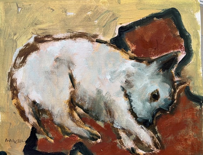 Terrier on T Shirt