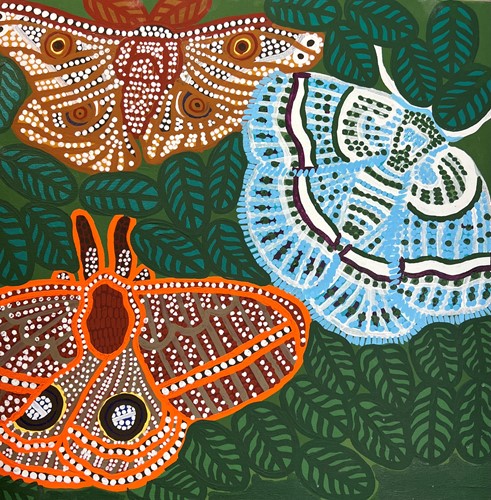 Moth Party  by Peter Hughes
