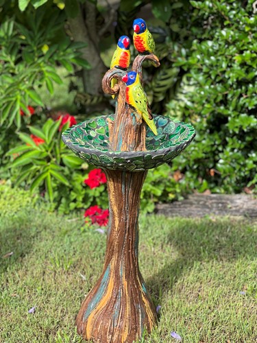 Bird Bath  Rainbow Lorikeets