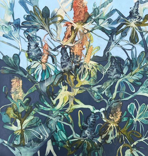 Banksia 1