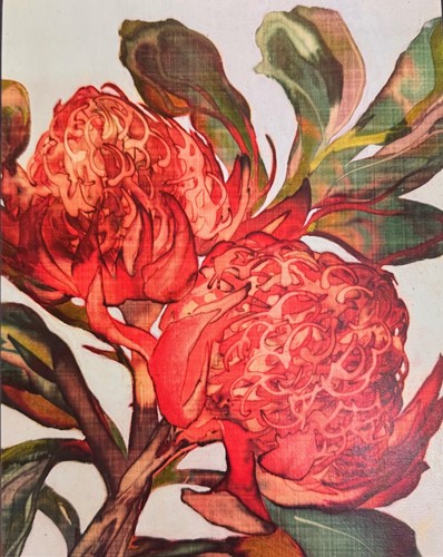 Twin Waratahs by Farley Cameron