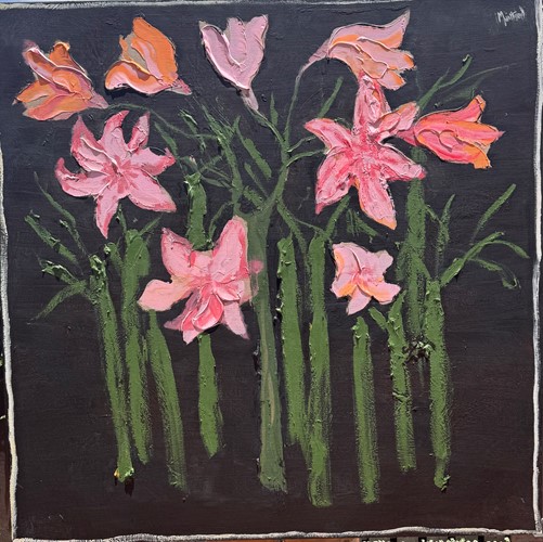 Pink Profusion by John Maitland