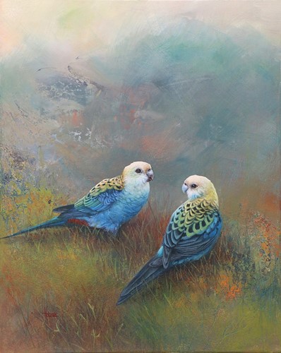 So Fragile are the Beautiful Things - Pale Headed Rosellas