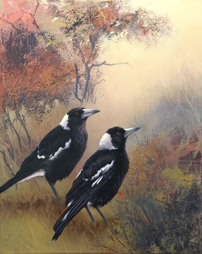 Natures Quiet Whisper - Australian Magpies